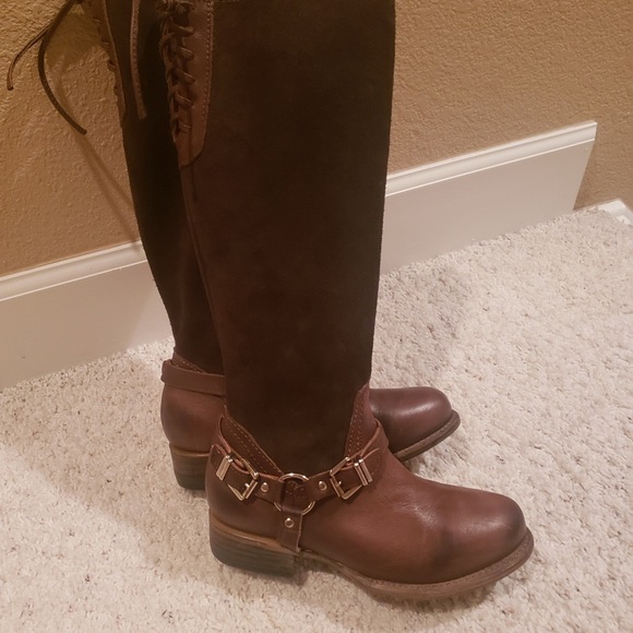 Freebird 7 - Picture 9 of 15